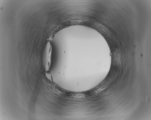 X0000070880463200607150150