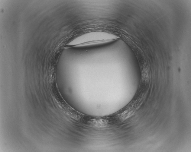 X0000070880464200607150150