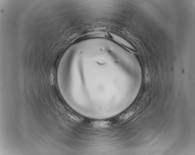 X0000070880465200607150150