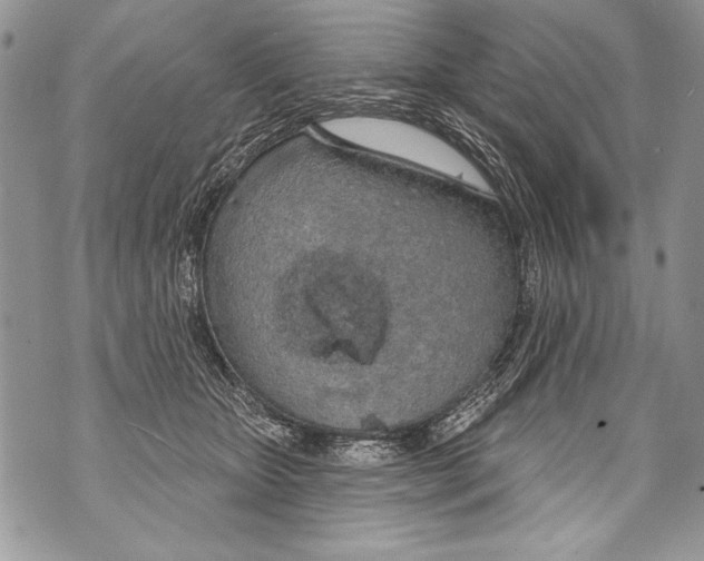 X0000070880467200607150150