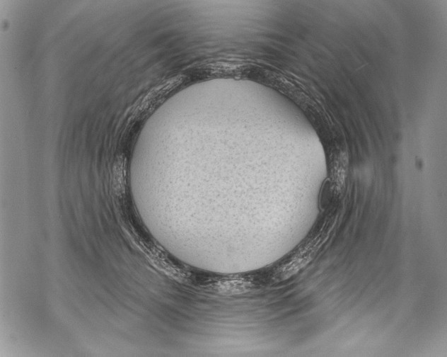 X0000070880468200607150150