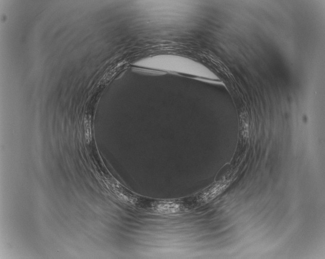 X0000070880471200607150151