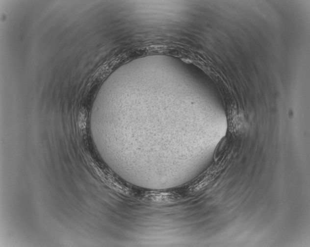 X0000070880472200607150151