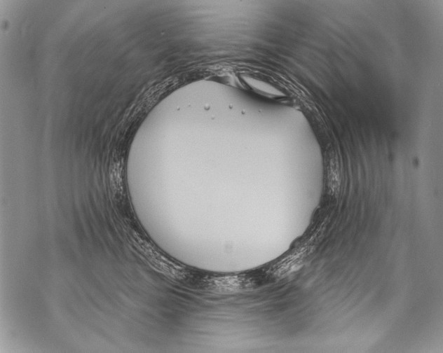 X0000070880473200607150151