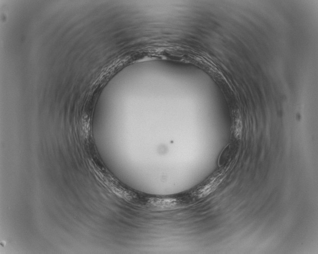 X0000070880476200607150151