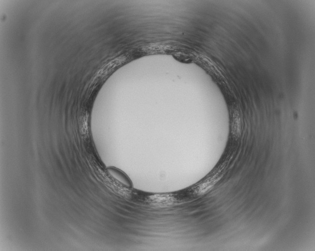 X0000070880477200607150151