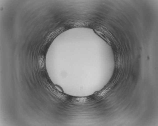 X0000070880478200607150151