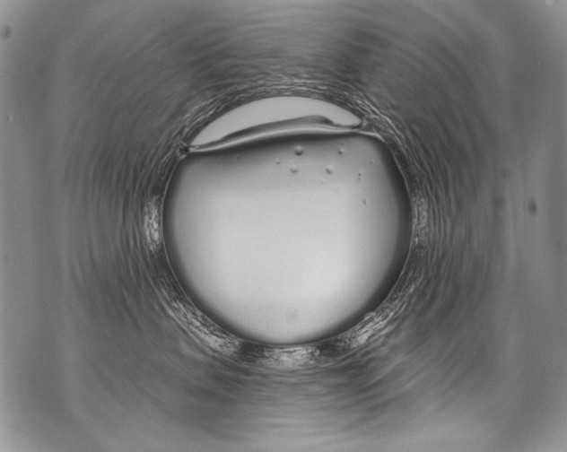 X0000070880479200607150151