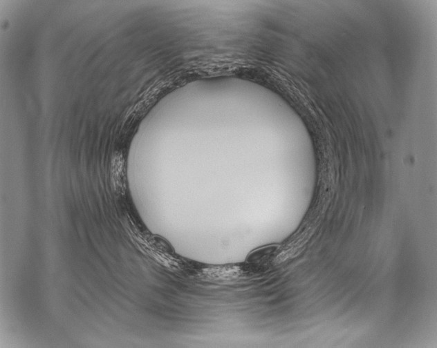 X0000070880480200607150151