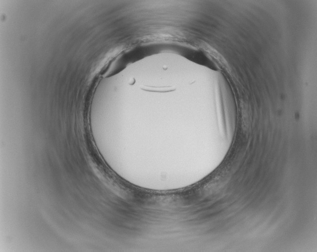 X0000070880482200607150150