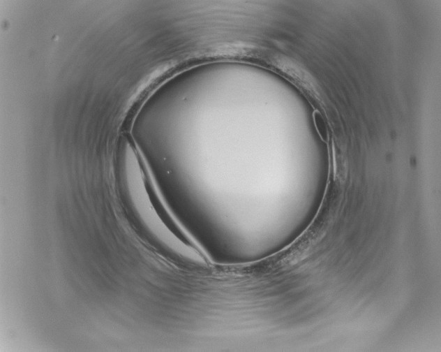 X0000070880483200607150150