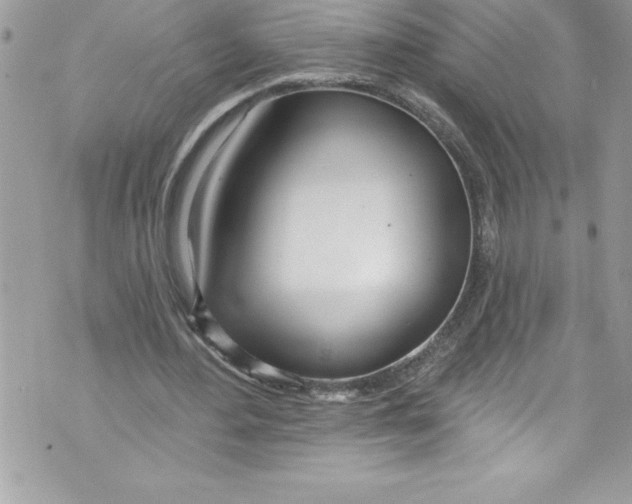 X0000070880484200607150150