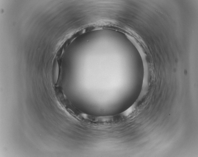 X0000070880485200607150150