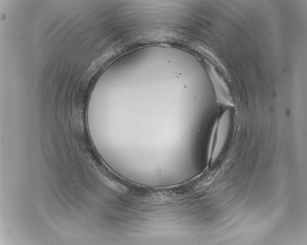 X0000070880489200607150150