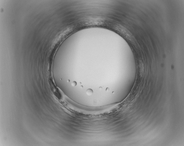 X0000070880490200607150150