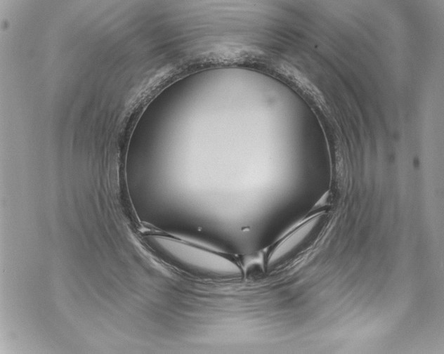 X0000070880493200607150150