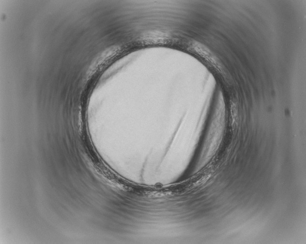 X0000070880494200607150150