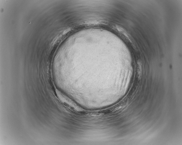 X0000070880495200607150150