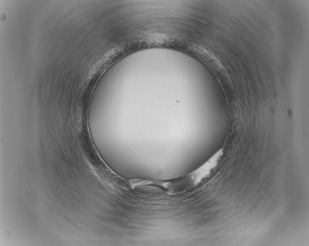 X0000070880496200607150150