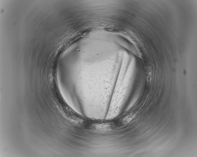 X0000070880500200607150150