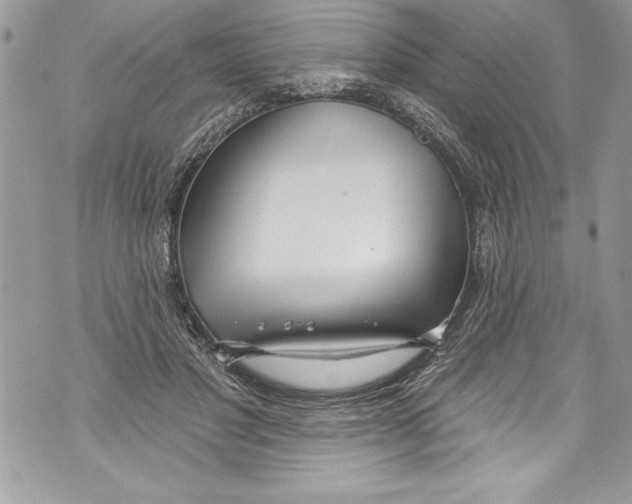 X0000070880501200607150150