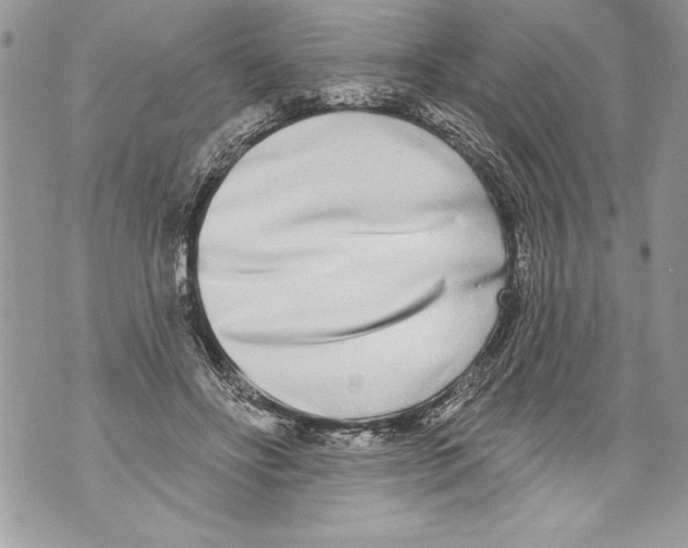 X0000070880502200607150150