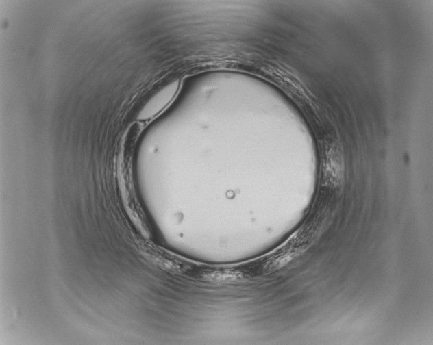 X0000070880503200607150150