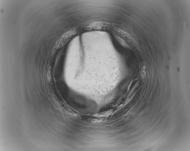 X0000070880504200607150150