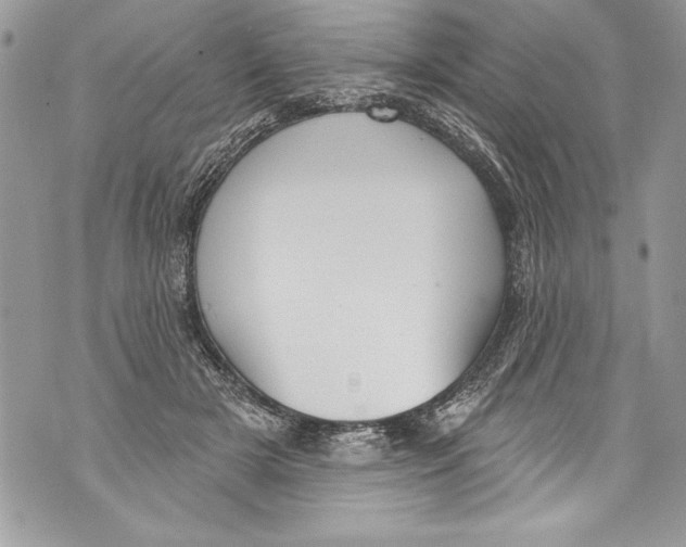 X0000070880505200607150149