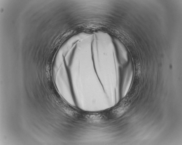 X0000070880506200607150149