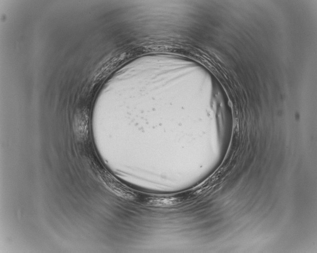 X0000070880507200607150149