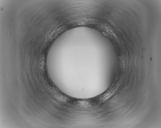 X0000070880509200607150149