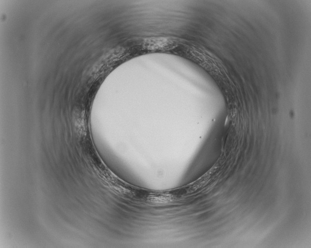 X0000070880510200607150149