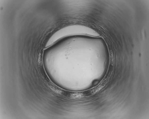 X0000070880511200607150149