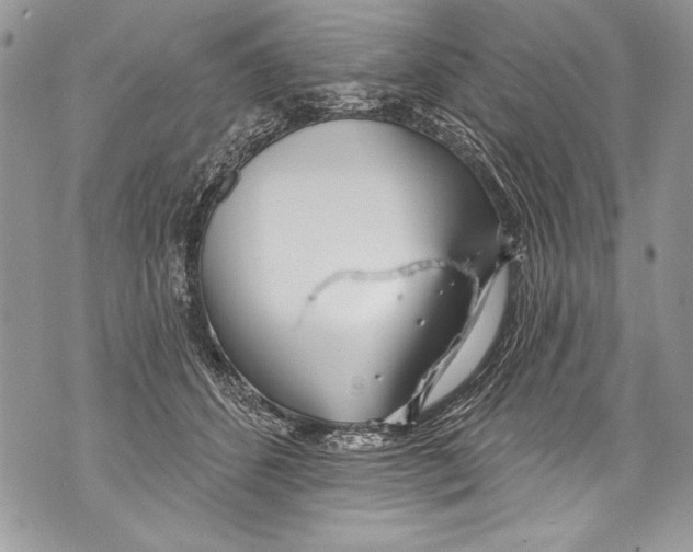 X0000070880512200607150149