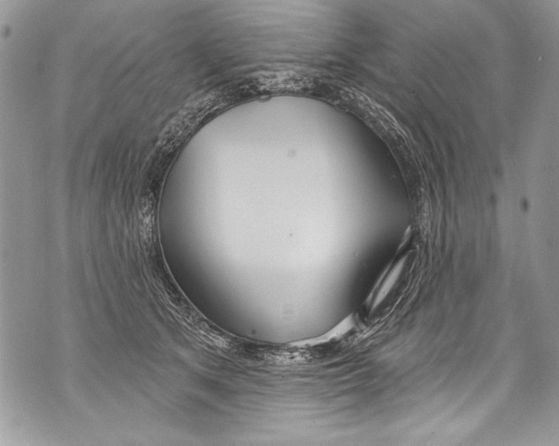 X0000070880513200607150149