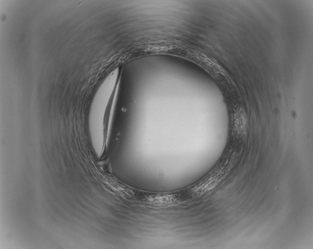 X0000070880517200607150149