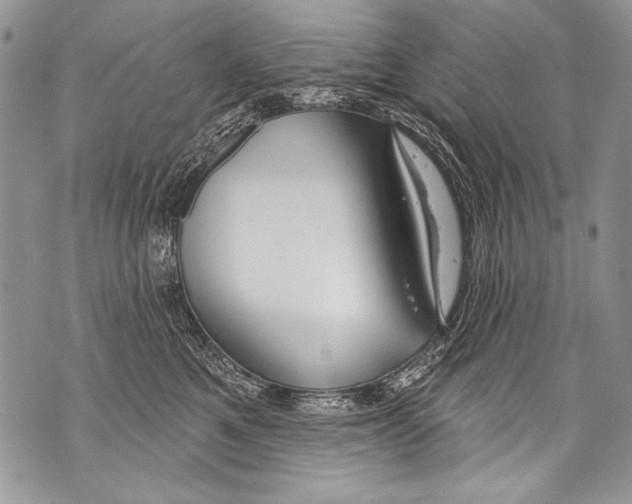 X0000070880521200607150149