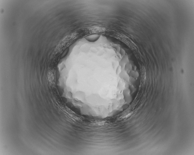 X0000070880523200607150149