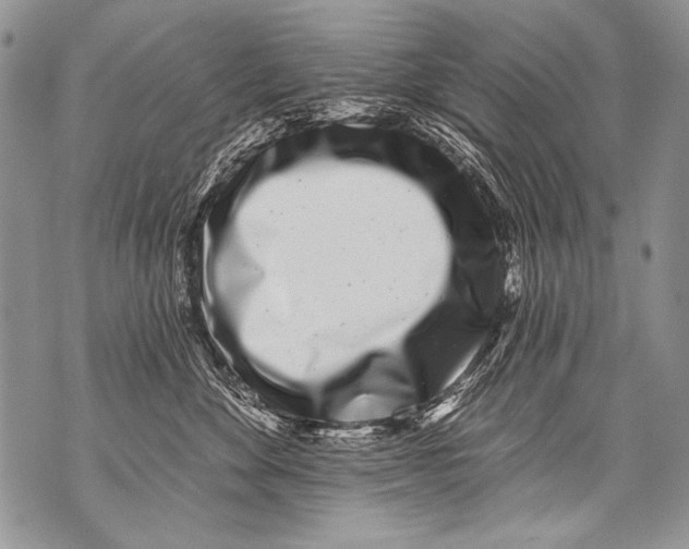 X0000070880524200607150149