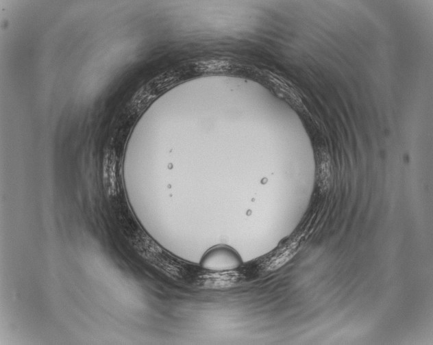 X0000070880525200607150149