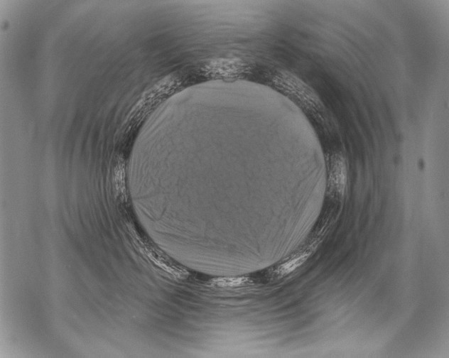 X0000070880526200607150149