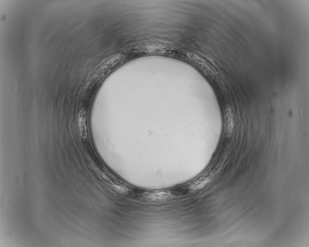 X0000070880527200607150149