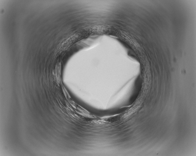 X0000070880528200607150149