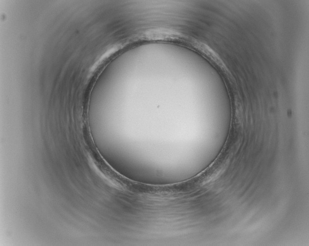 X0000070880530200607150148