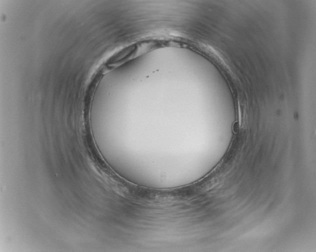 X0000070880531200607150148