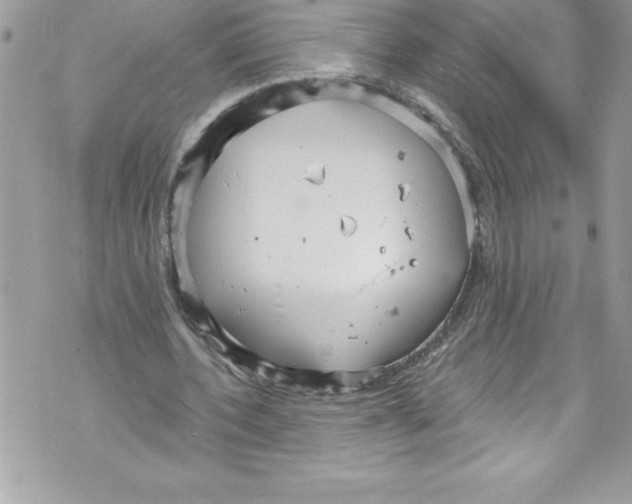 X0000070880532200607150148