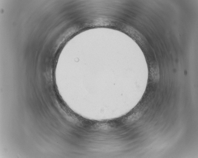 X0000070880534200607150148