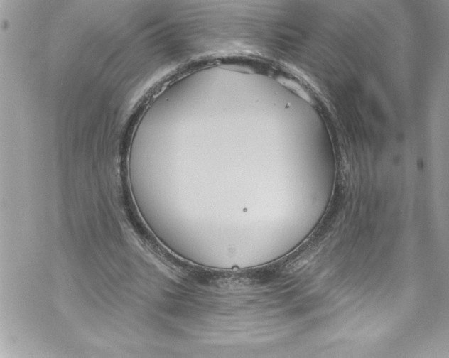 X0000070880535200607150148