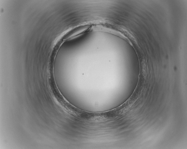 X0000070880536200607150148